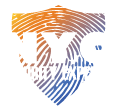NYC security systems Logo